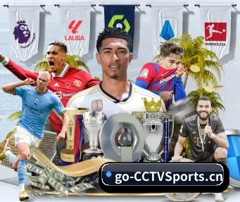 cctv体育 APP